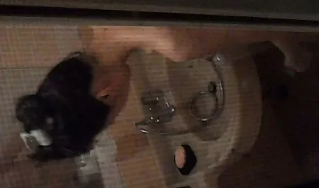 Asshole sloppy fucks granny bukkake porn L. with a rubber doll in the back seat of the car